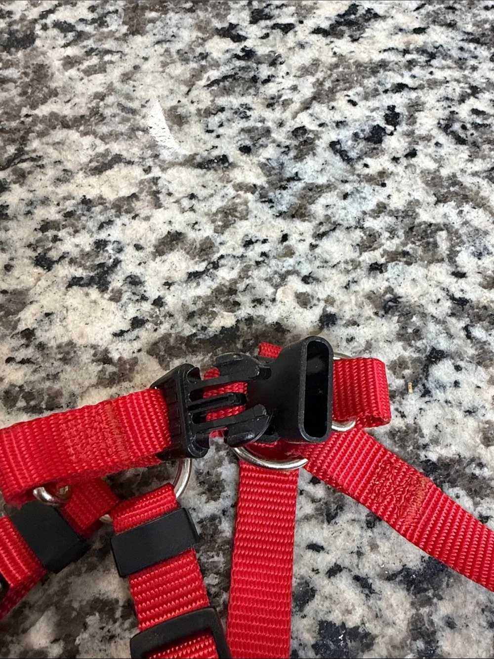 Red Dog Harness - Adjustable Nylon No-Brand Pet Harness Small Dogs or Puppies